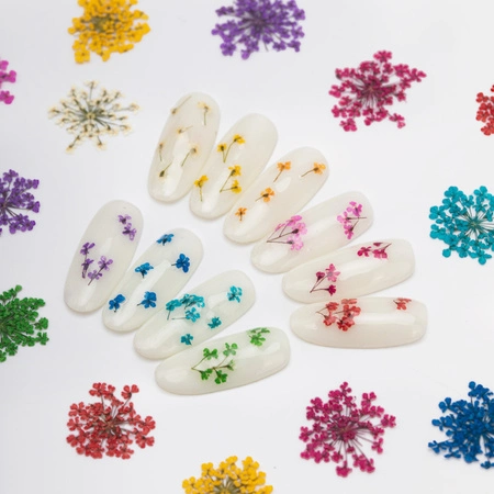 Dried flowers for nail art displayed on nail swatches