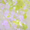 Polvere per unghie MollyLac Bling Bling Effect 1 g n. 06