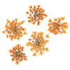 Flores secas para decorar las uñas MollyLac Orange, 5 unidades