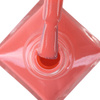 Smalto classico STEP 2: Color Lacquer Vinyl Effect System MollyNails Sparking Pink 10 ml