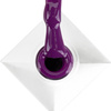 MollyNails Hybridlack Cocktails & Drinks Blackcurrant Impres HEMA/Di-HEMA-frei 8 g Nr. 18