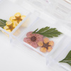 Dried flowers for nail art in a MollyNails box, type E, 36 pcs