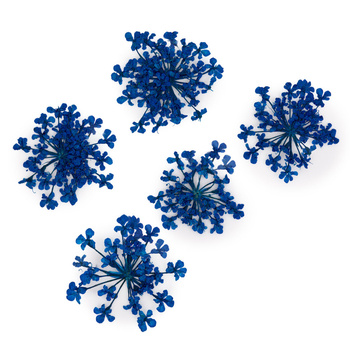 Fiori secchi per decorazioni unghie MollyLac Royal Blue, 5 pezzi