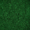Spiegelglanz-Puder für die Nagelverzierung MollyLac Glass Effect Green Nr. 9