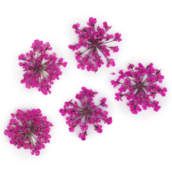 Fleurs séchées pour la décoration des ongles MollyLac Peach Pink, 5 pièces