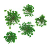Fiori secchi per decorazioni per unghie MollyLac Green, 5 pezzi