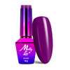 Let's start MollyLac hybrid manicure set with a 54W UV/LED lamp