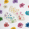Flores secas para decorar las uñas MollyLac Green, 5 unidades