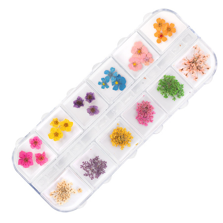 Flores secas para decorar las uñas en estuche MollyNails, tipo B, 36 unidades