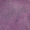 Nagelpulver Thermo Flash Effect MollyLac 0,5 g Nr. 4