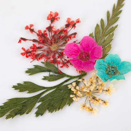 Getrocknete Blumen zur Nagelverzierung in einer Schachtel von MollyNails, Typ E, 36 Stück