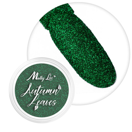Пилок для нігтів MollyLac Autumn Leaves 1 г № 7