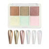 Mirror-effect nail powder, 6-color case, No. 5