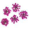 Fleurs séchées pour la décoration des ongles MollyLac Peach Pink, 5 pièces