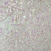 Polvo para uñas MollyLac Aurora Mirror Mist 0,3 g N.º 6
