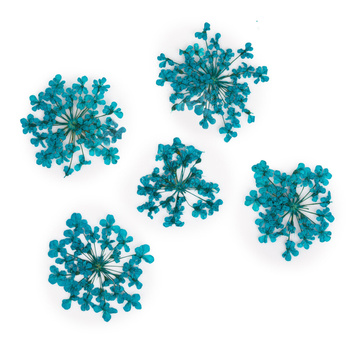 Flores secas para decorar las uñas MollyLac Turquise, 5 unidades