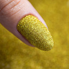 Glitter per unghie MollyLac n. 34 20 g