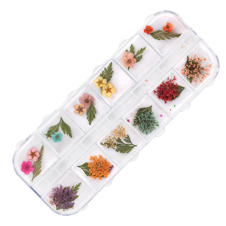 Dried flowers for nail art in a MollyNails box, type E, 36 pcs