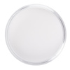 MollyLac Acrylic Powder Crystal Clear 120 g
