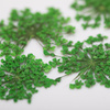 Fleurs séchées pour la décoration des ongles MollyLac Green, 5 pièces