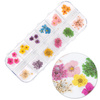 Dried flowers for nail art in a MollyNails box, type B, 36 pcs.