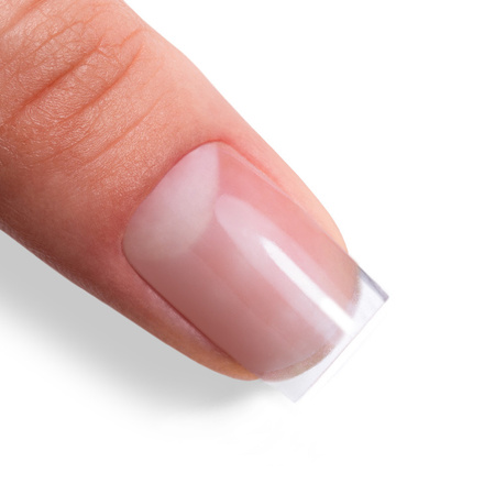 Strong Base MollyNails Clear HEMA/Di-HEMA Free Hybrid Base Coat 10g