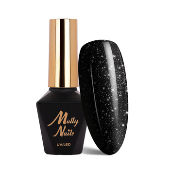 Top coat hybride sans essuyage Flash MollyNails sans HEMA/Di-HEMA 10 g