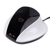 68-W-Nagelfeile von MollyNails für Maniküre und Pediküre, weiß, M18, 45.000 Umdrehungen