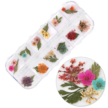 Fleurs séchées pour la décoration des ongles, en coffret MollyNails, type E, 36 pièces