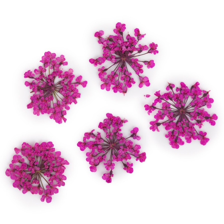 Dried flowers for nail art MollyLac Peach Pink 5 pcs