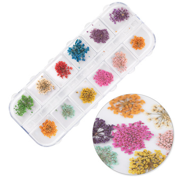 Fleurs séchées pour la décoration des ongles, coffret MollyNails, type A, 24 pièces