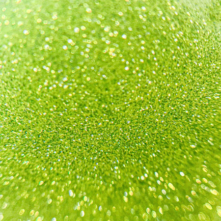 Lakier hybrydowy MollyNails Flashing Lights Neon Evergreen HEMA/Di-HEMA Free 8g Nr 647